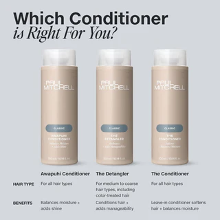 Paul Mitchell - Revitalisant The Detangler – Image 7