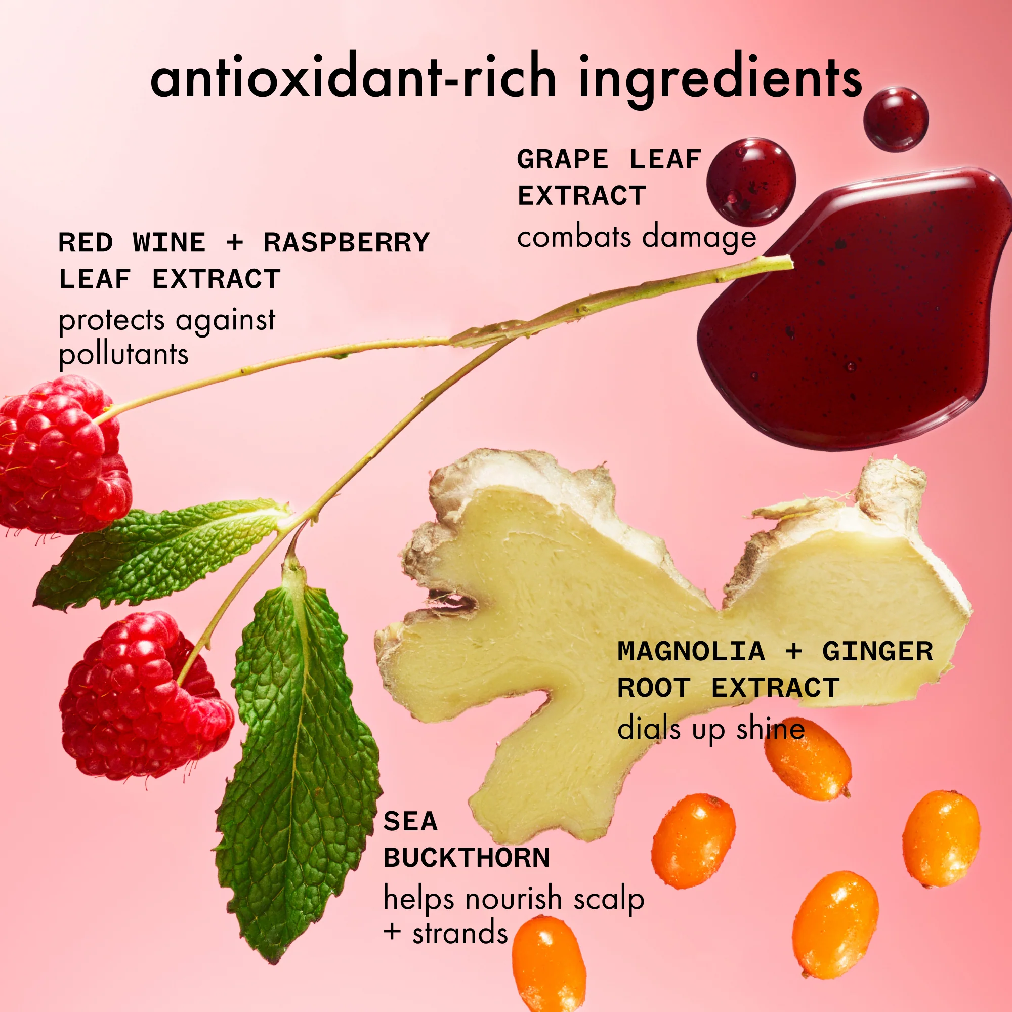 Amika - Shampoing antioxydant protecteur d'éclat Mirrorball 275ml – Image 5