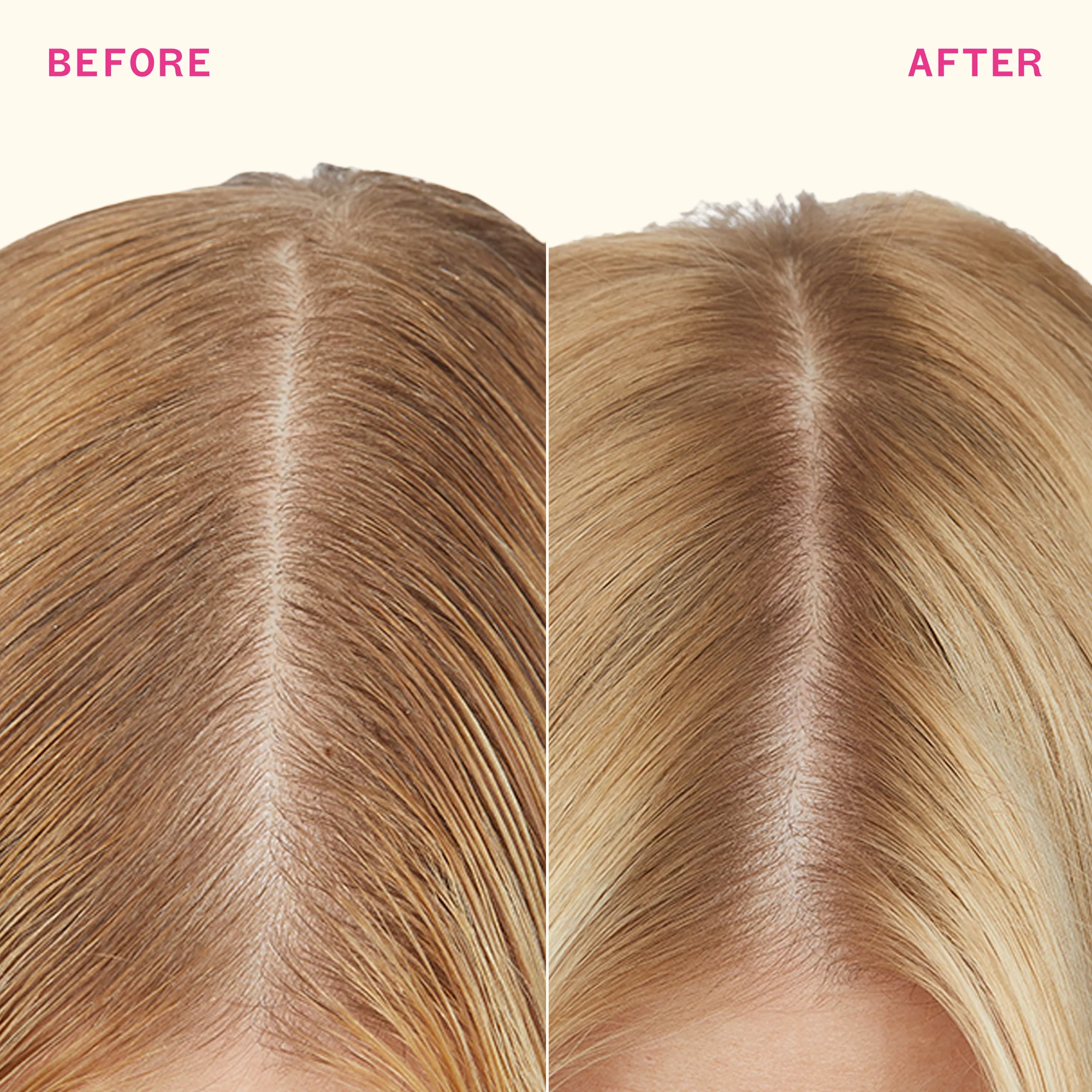 Amika - Shampoing Sec Perk Up Plus Jumbo 339ml – Image 3