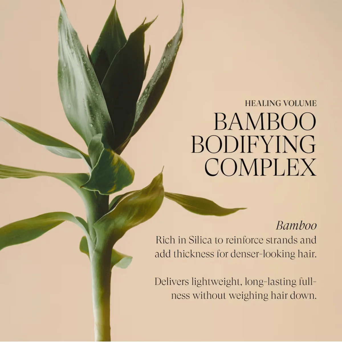 L'Anza - Fixatif Final Effects Healing Volume 350ml – Image 3