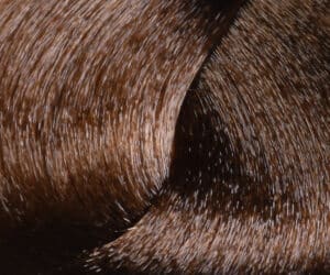 Coloration 6.0 100ml- Huesee