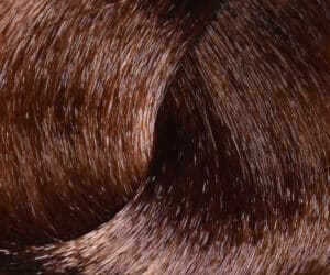 Coloration 7.32 100ml- Huesee