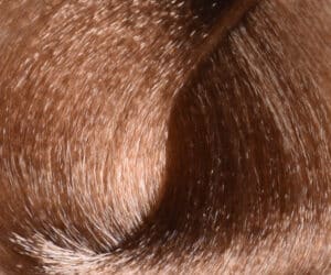 Coloration 8.0 100ml- Huesee